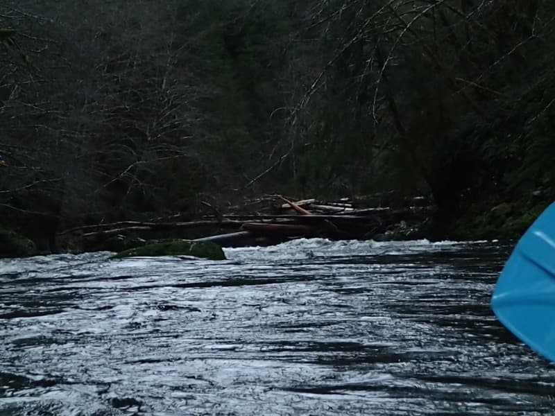 Trip report photo