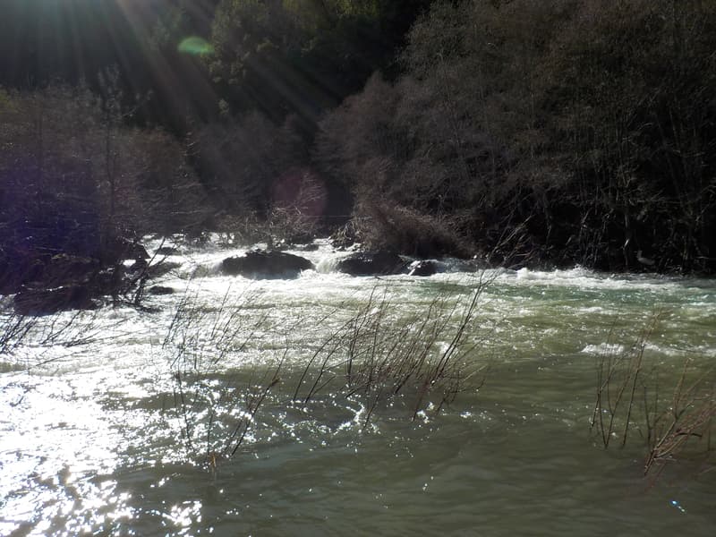 Trip report photo