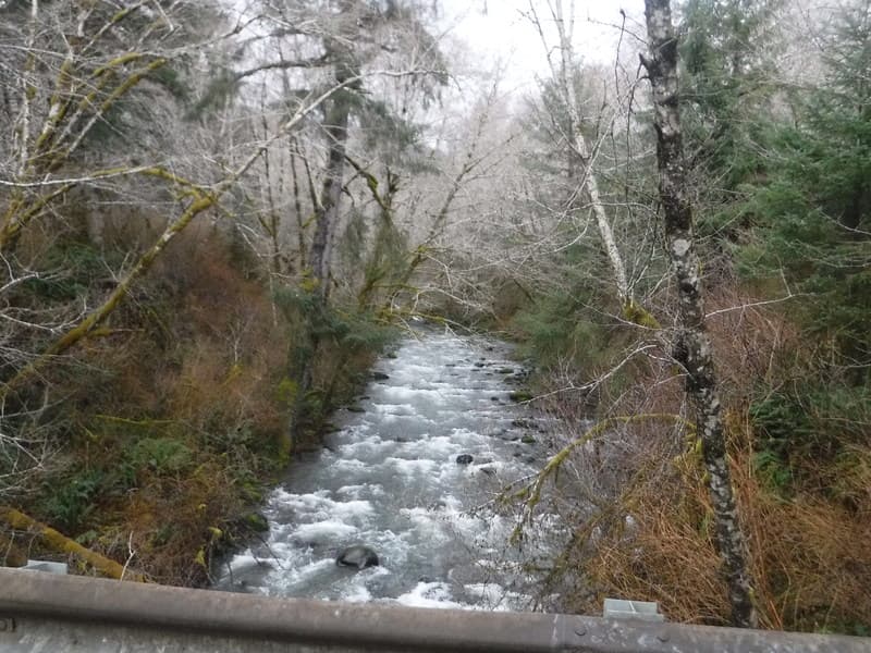 Trip report photo