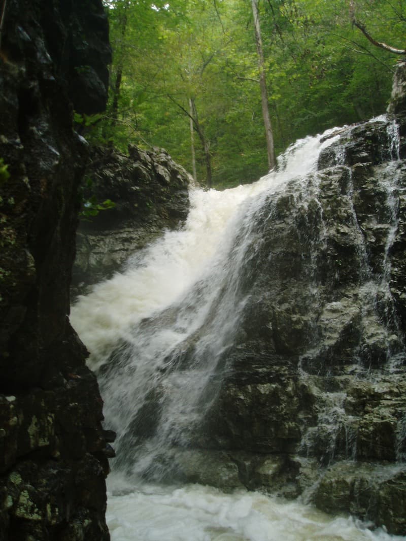 Trip report photo