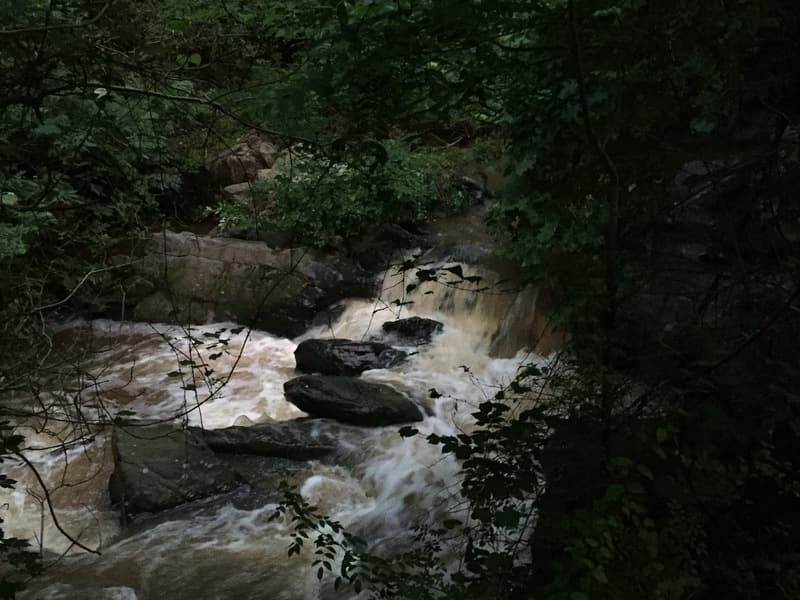Trip report photo