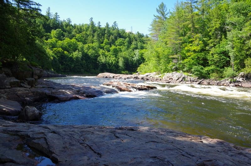 Trip report photo
