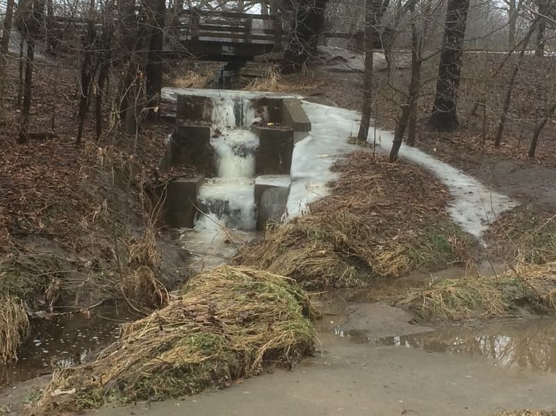 Trip report photo