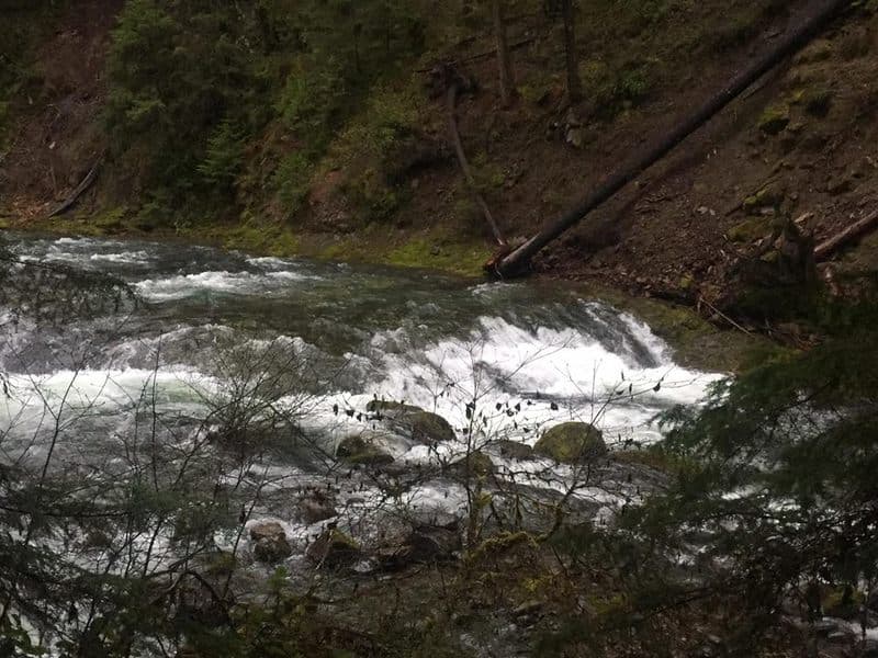 Trip report photo