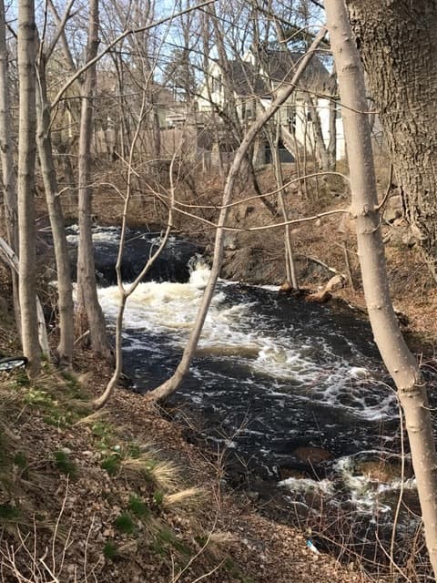 Trip report photo