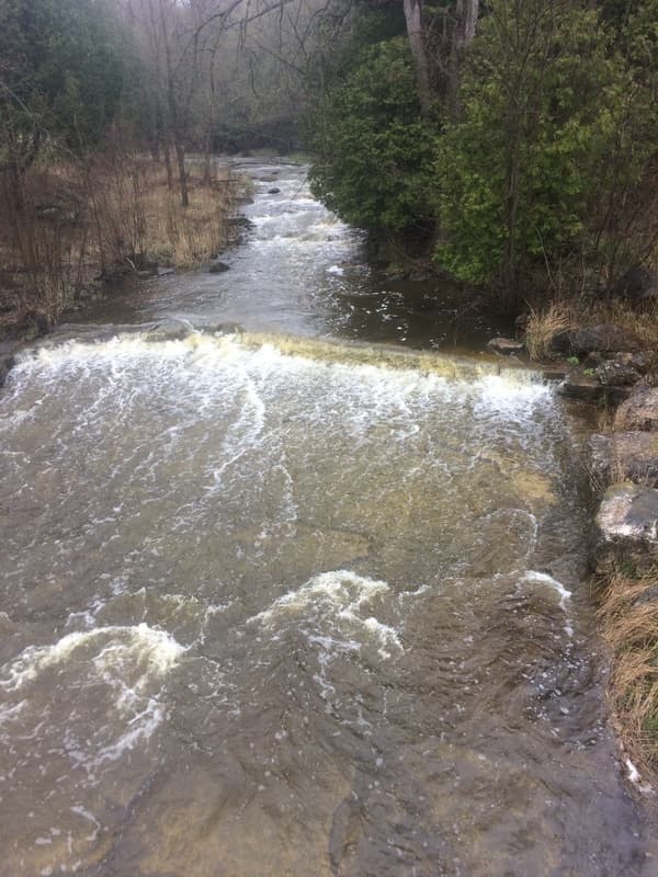 Trip report photo
