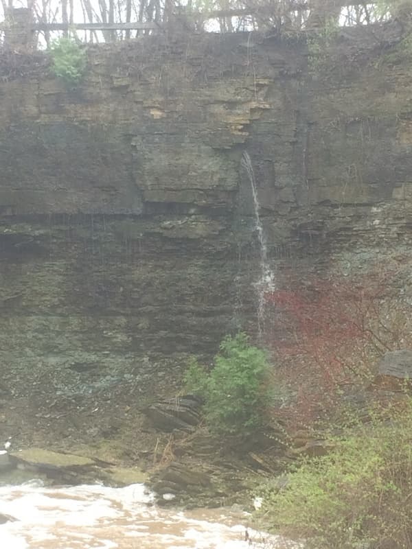 Trip report photo