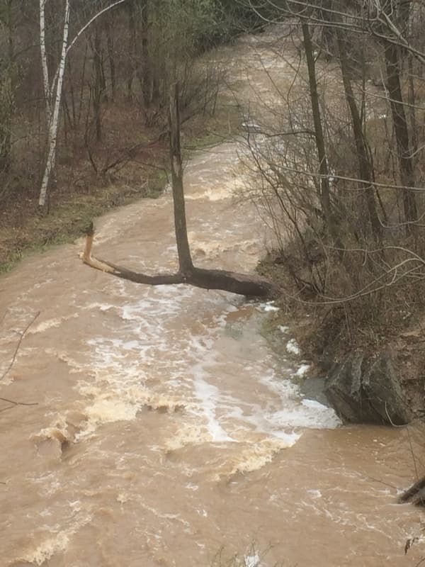 OVERHANGING TREE!!!