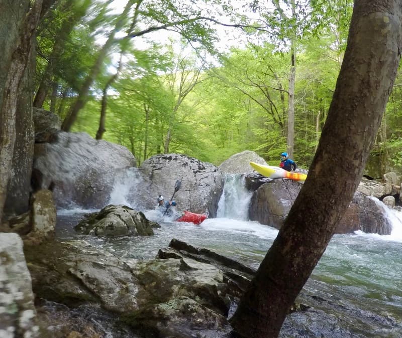 Trip report photo