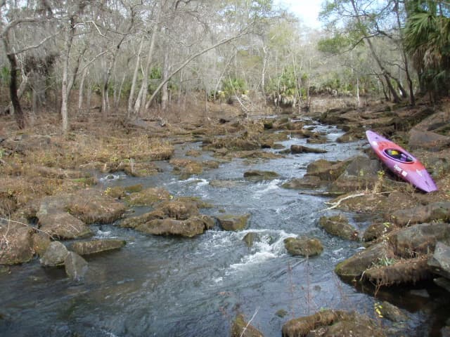 Trip report photo