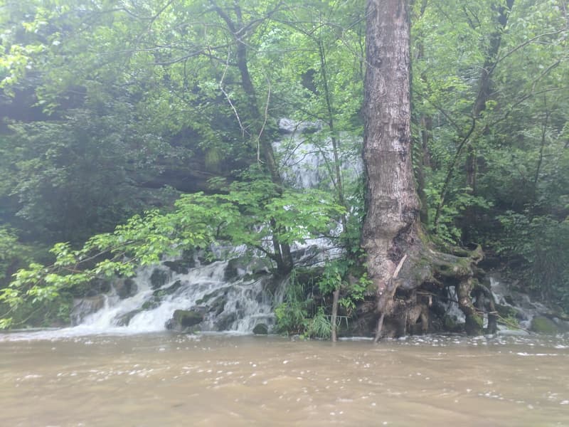 Trip report photo