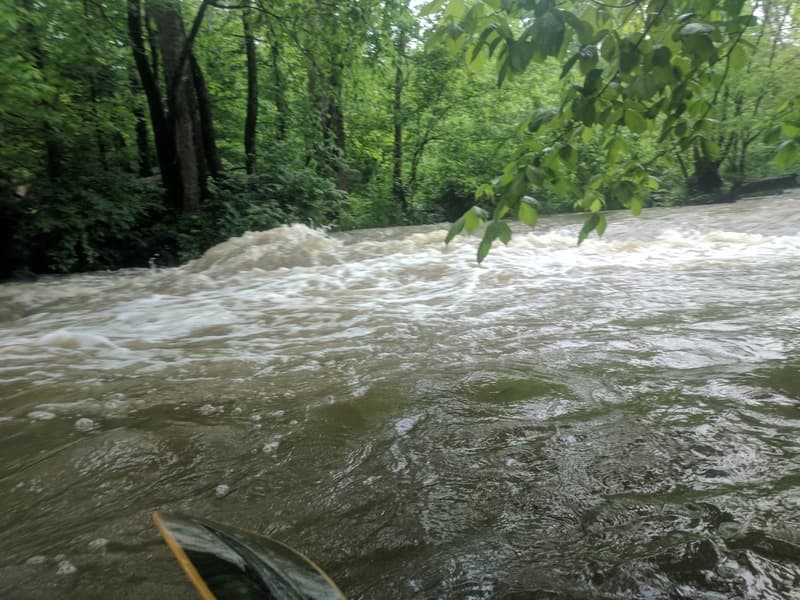 Trip report photo