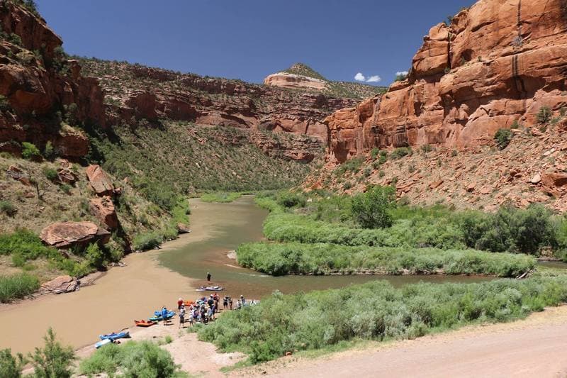 Trip report photo