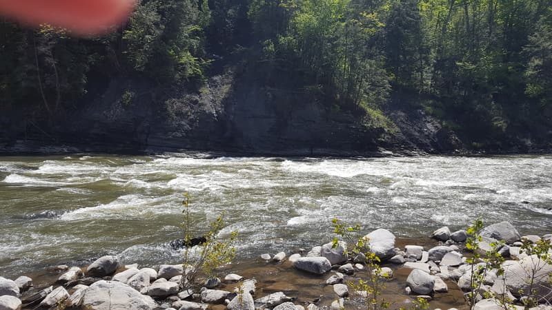 Trip report photo