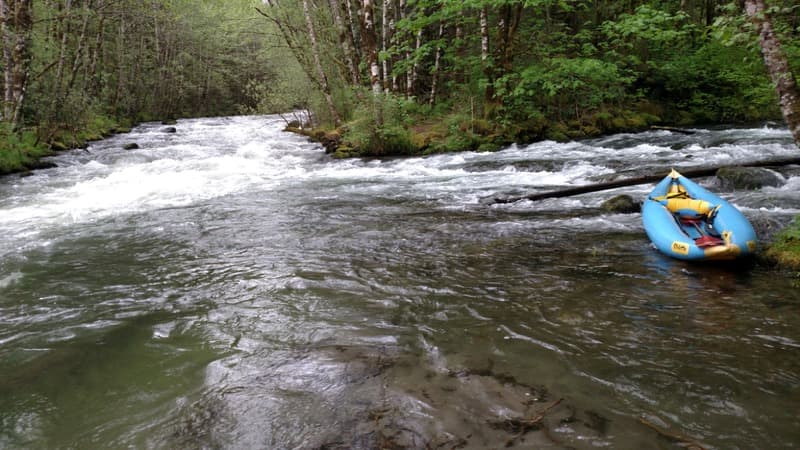 Trip report photo