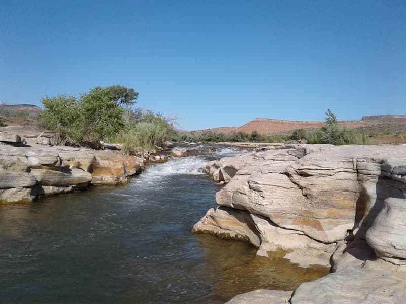 Trip report photo