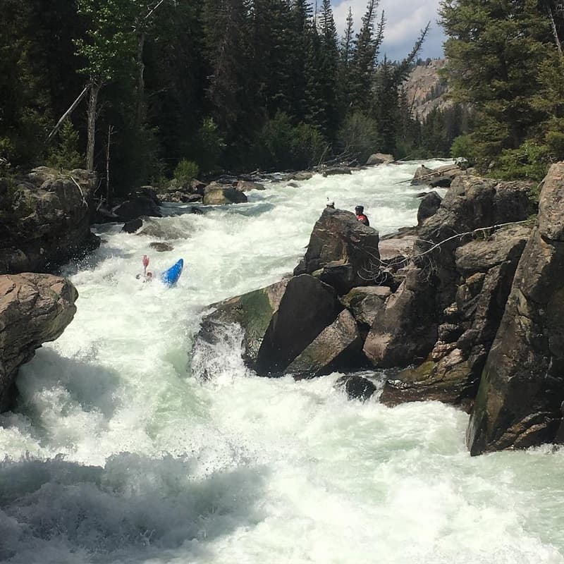 Trip report photo