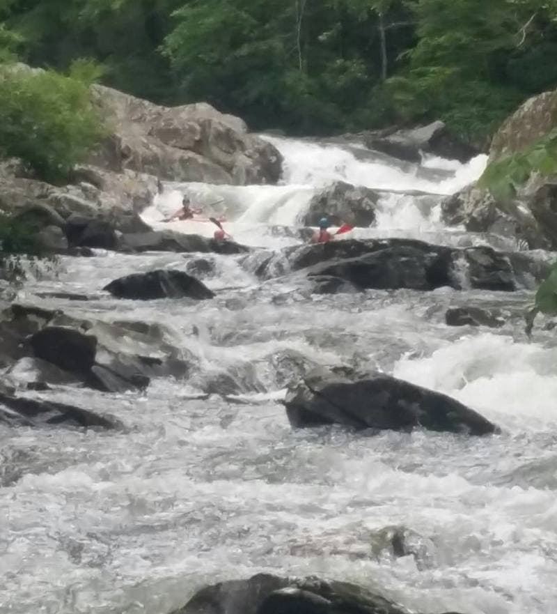 Trip report photo