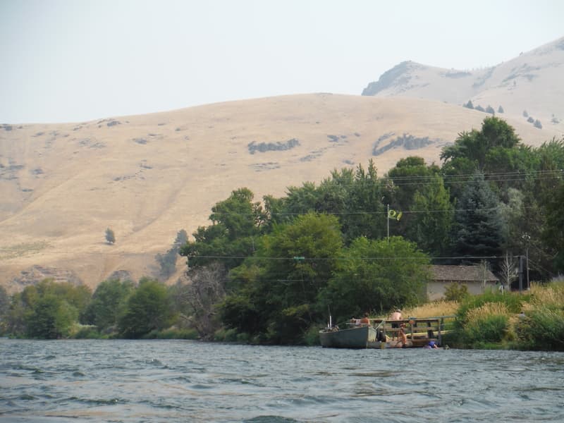 Dant Ferry