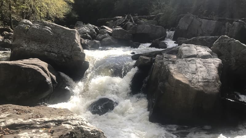 Trip report photo