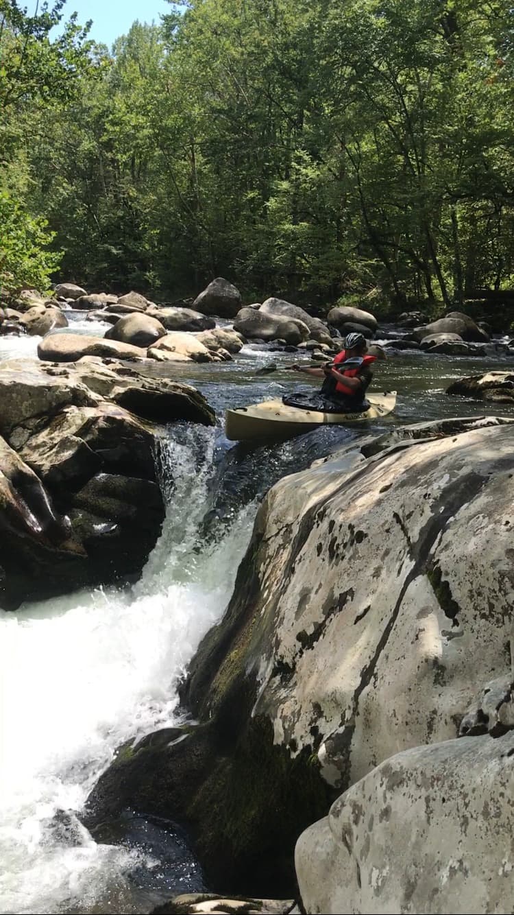 Trip report photo