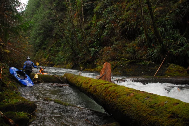 Exploring Hyas Creek