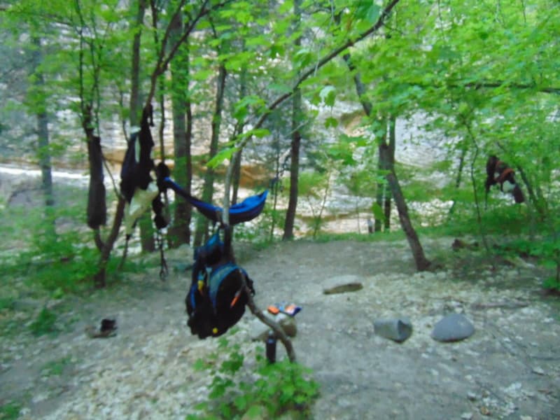 Trip report photo