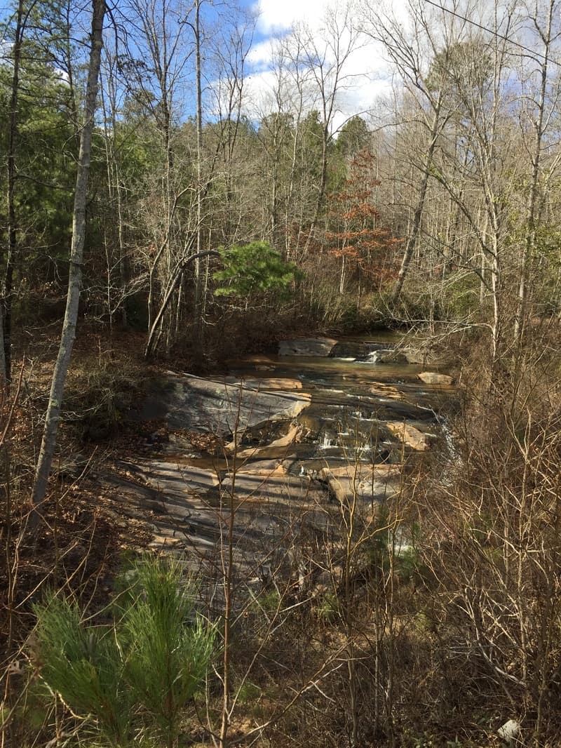 Trip report photo