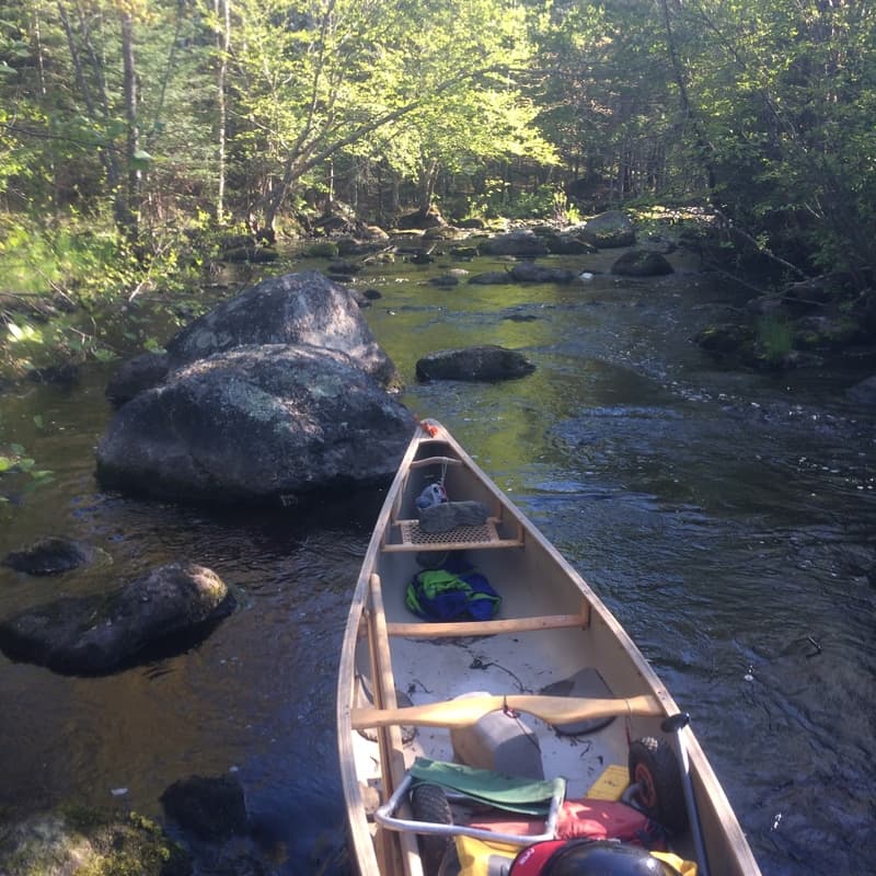Trip report photo