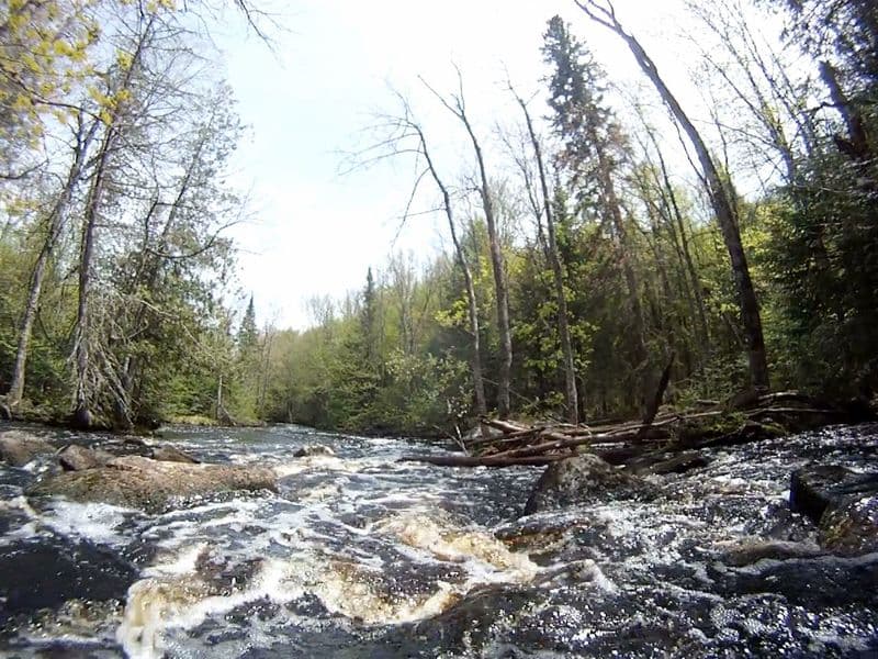 McDougal Rapids