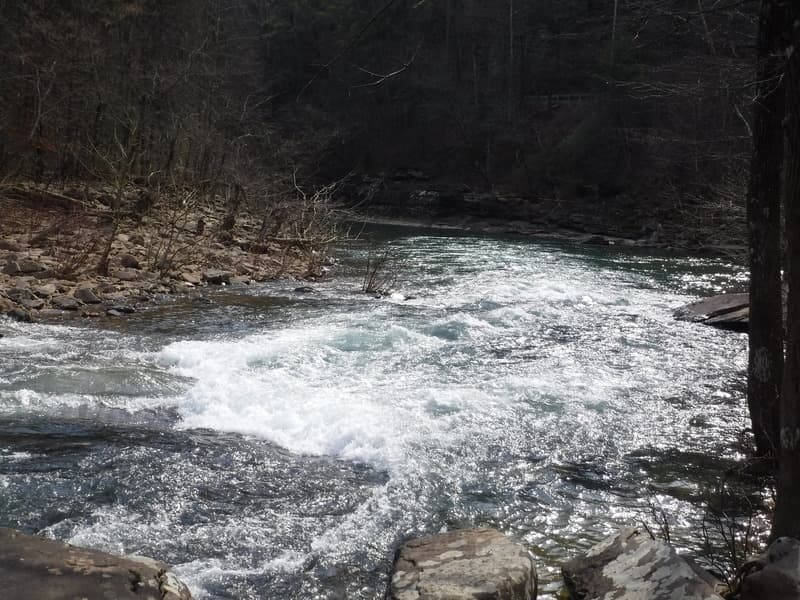 Trip report photo