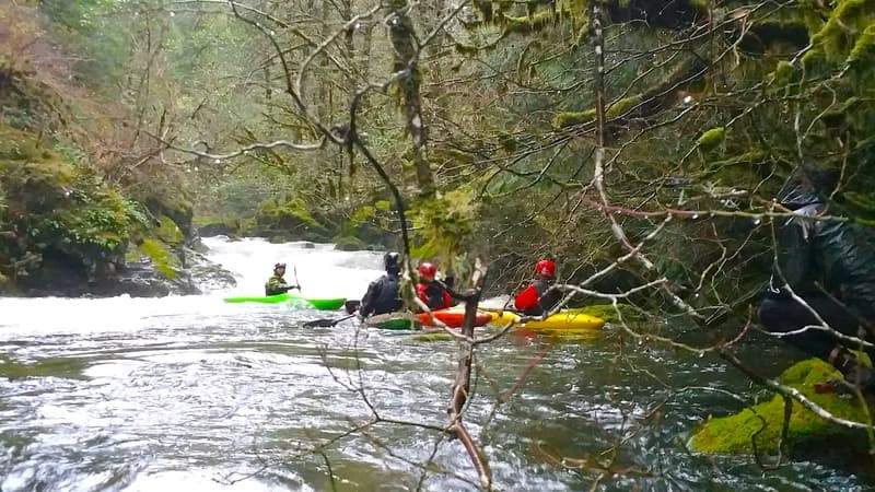 Trip report photo