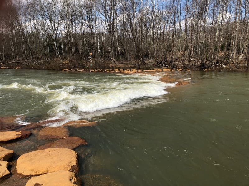 Trip report photo