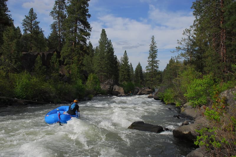 Spring Day on Meadowcamp