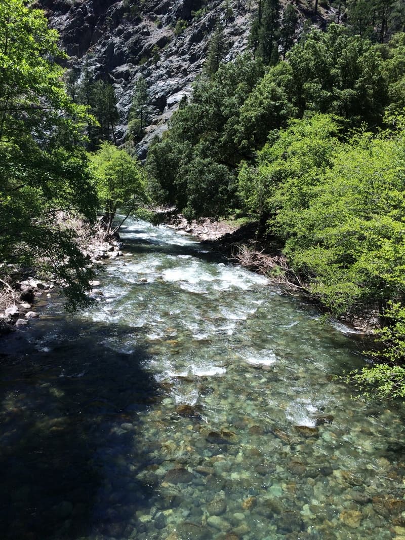 Trip report photo