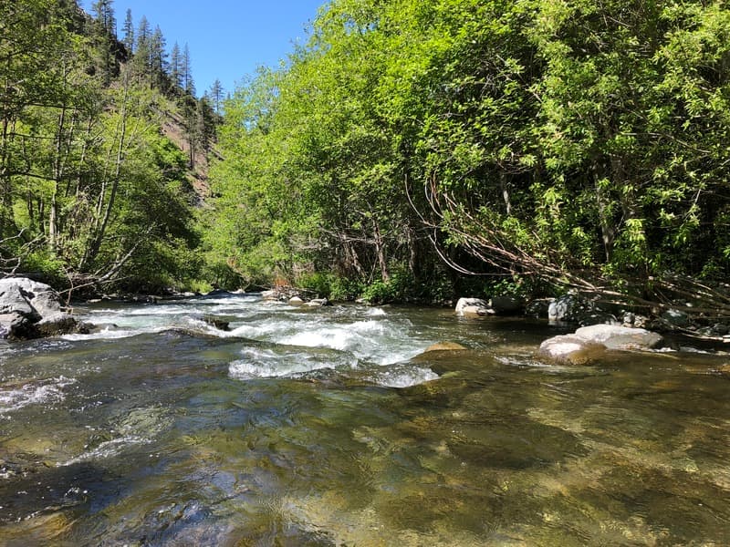 Trip report photo