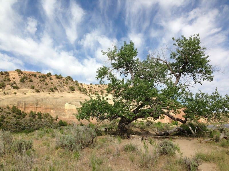 Trip report photo