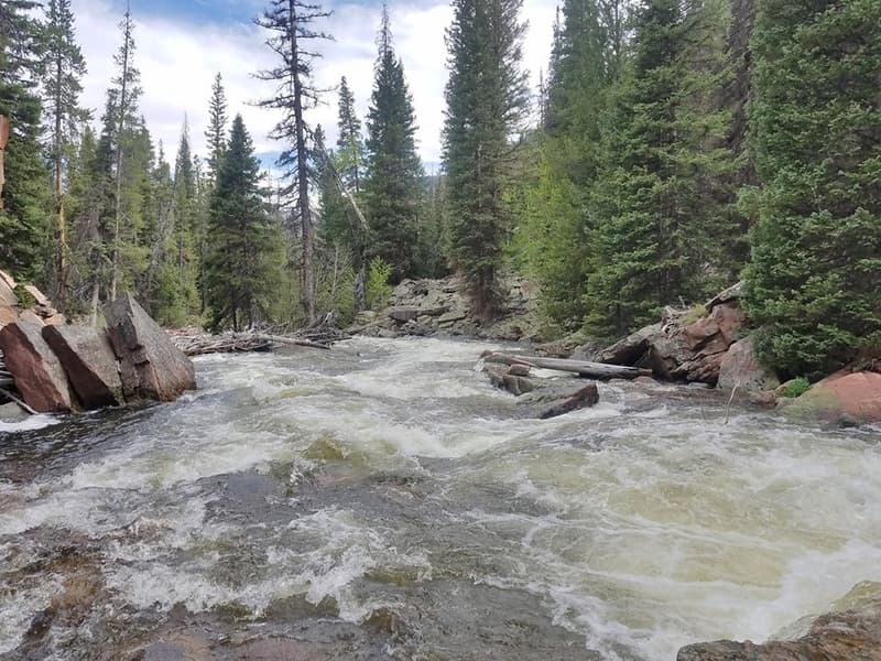 Trip report photo
