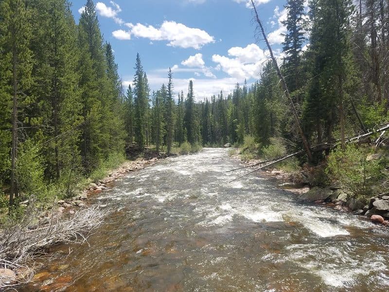 Trip report photo