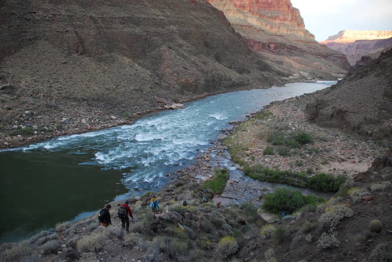 Grand Canyon Trip With Families