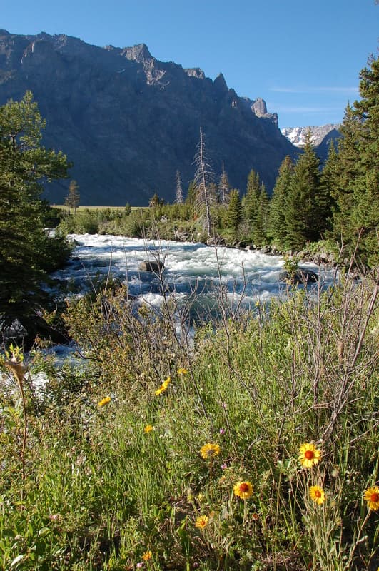 Trip report photo