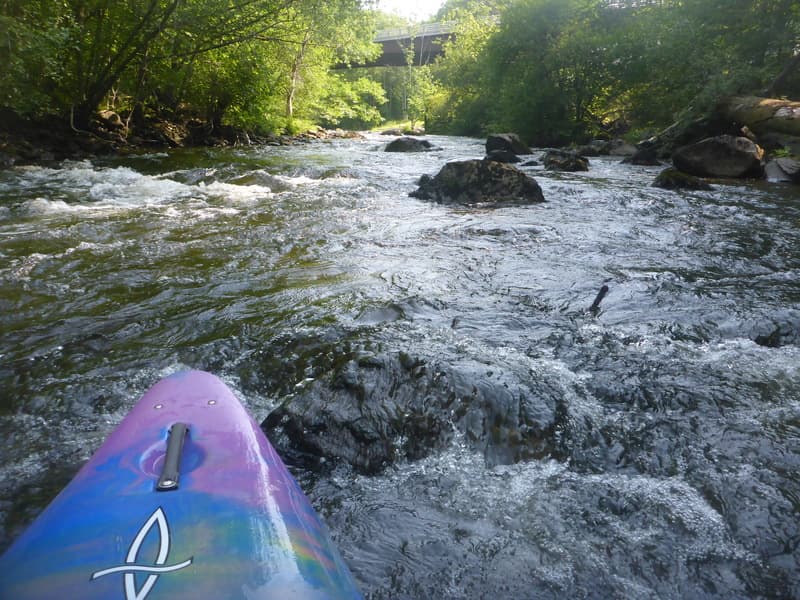 Trip report photo