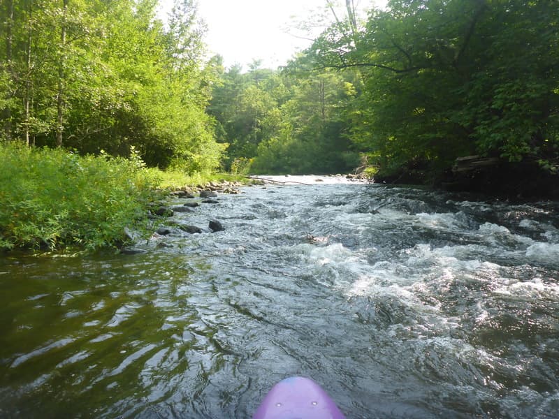 Trip report photo