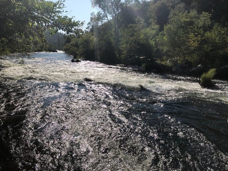 Trip report photo