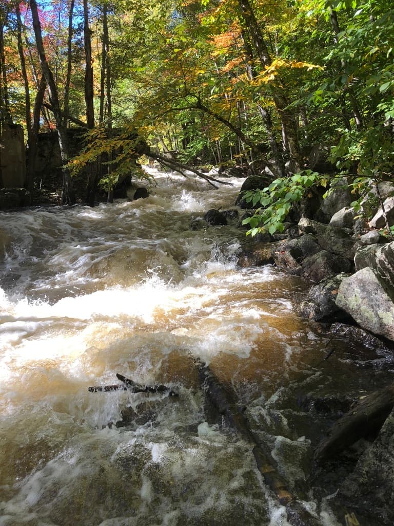Trip report photo