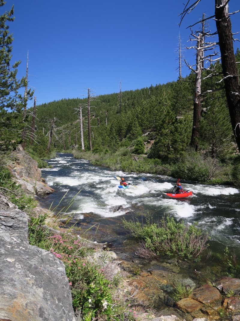 Trip report photo
