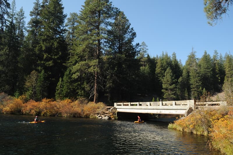 Fall on the Metolius River - Lower Bridge to Monty Campground