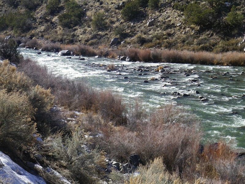 Trip report photo