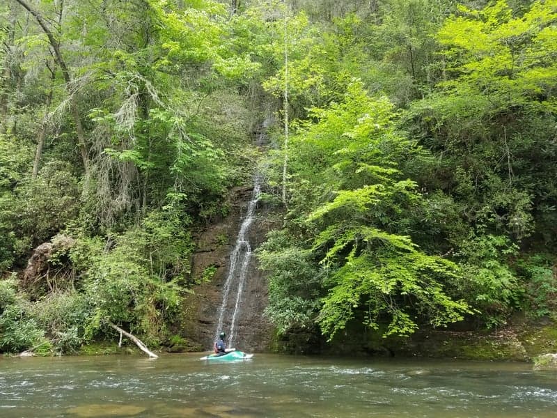 Hemlock Treatment Day