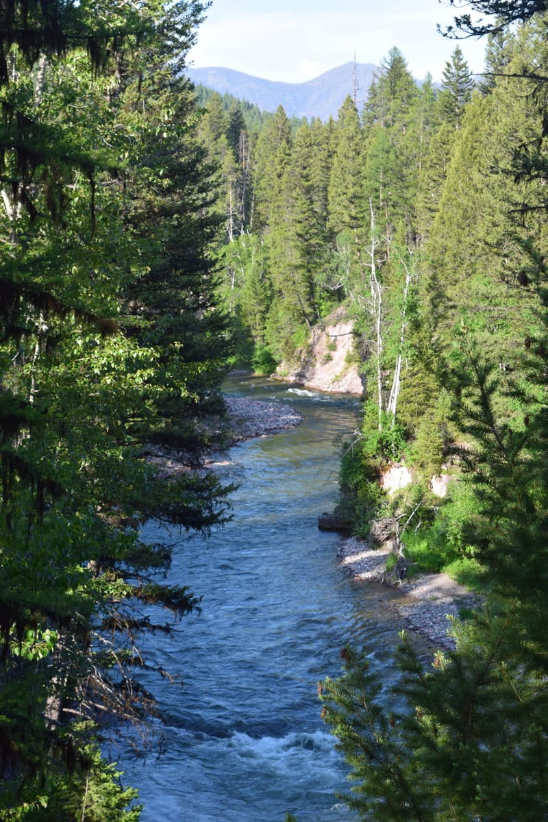 Trip report photo